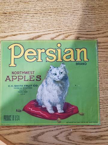Persian Cat Green Eyes Left Fruit Crate Label