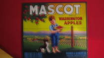 Mascot