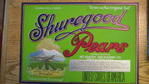 Shuregood Border