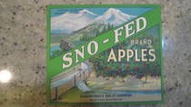 Sno Fed Green