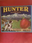 Hunter Blue Grown