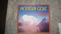 Mountain Goat