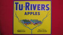 Tu Rivers