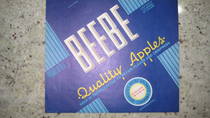 Beebe