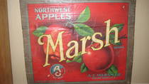 Marsh