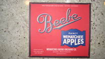 Beebe