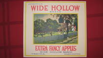 Wide Hollow