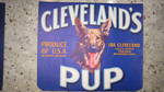 Cleveland's Pup Traung
