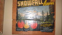 Snowfall