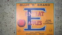 Blue E