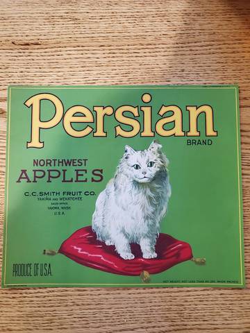 persian cat green straight eyes Fruit Crate Label
