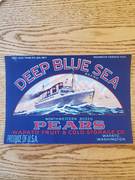 Deep Blue Sea