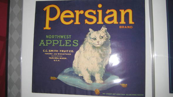 Persion Cat blue no border Eyes Left Fruit Crate Label