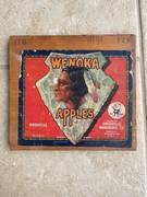 Wenoka Oroville Older Doc