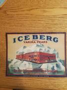 Iceberg