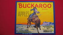 Buckaroo