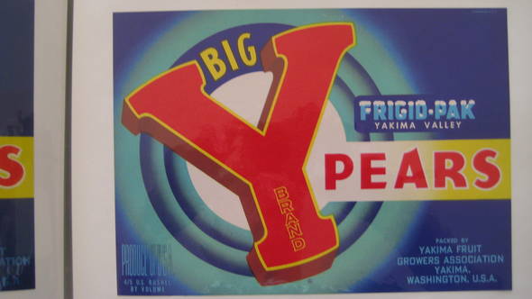 Big Y newest fancy Fruit Crate Label