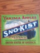 Snokist Green 40lbs cubic contents