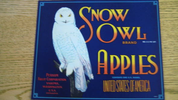 Snow Owl Fruit Crate Label