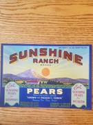 Sunshine Ranch 42 LBS When Packed