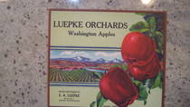 Luepke Orchards