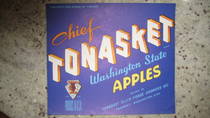 Chief Tonasket