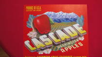 Cascade