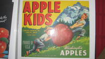Apple Kids