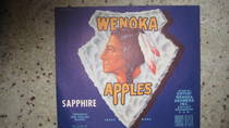 Wenoka Saphire