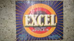 Excell Traung