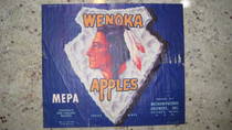 Wenoka MEPA newer