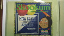 Skookum MEPA
