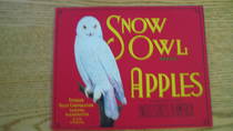 Snow Owl