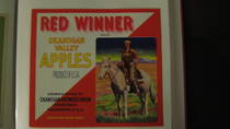 Red Winner Red White