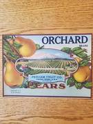 Orchard Fruit Co.