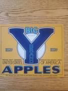 Big Y XF YFGA 1 Line