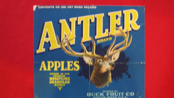 Antler Wenatchee Okanogan Fruit Crate Label