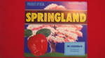 Springland