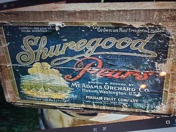 Shuregood Gold Border Perham 44# Fruit Crate Label