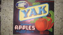 Yak 40#