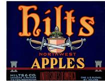 Hilts