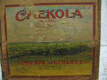 Chekola