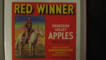Red Winner Red