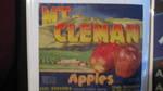 Mt. Cleman
