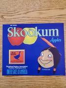 Skookum AFG Ninth ST Blue