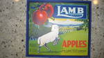 Lamb