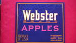 Webster