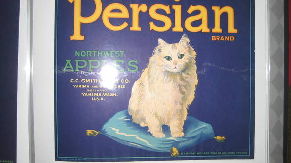 Persion Cat blue 40lbs border Fruit Crate Label