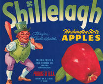Shillelagh