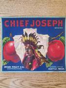 Chief Joseph Traung